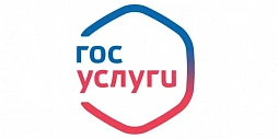 Как получить справку об отсутствии судимостей на сайте Госуслуг —  РЦЛС
